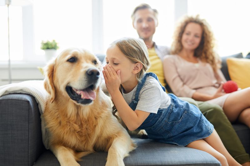 Dogs Understand Human Language