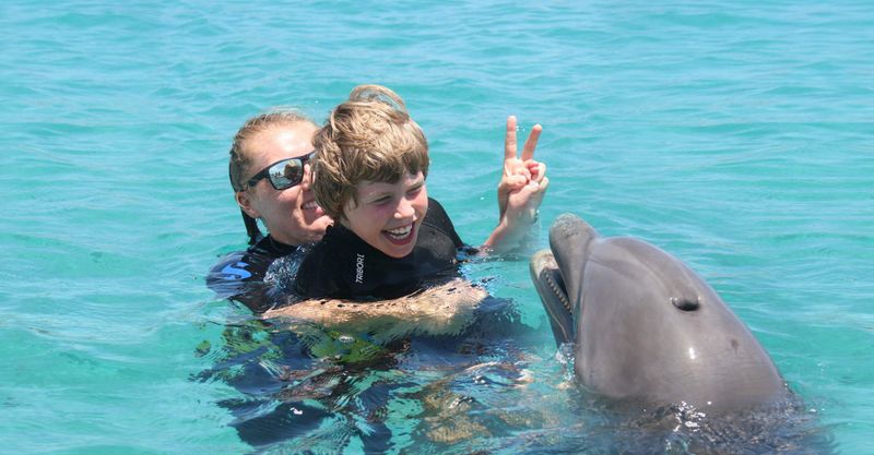 Dolphins