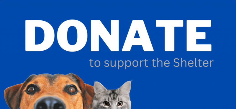 Donating in Their Name