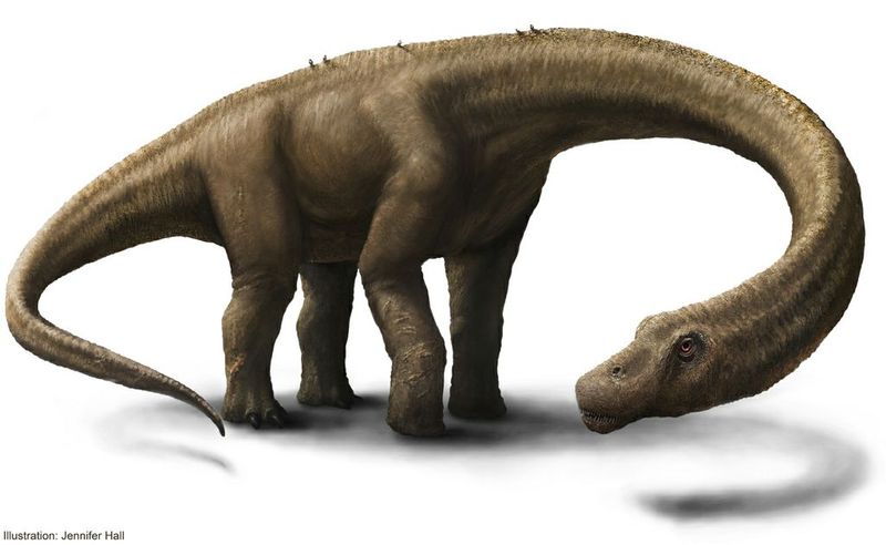 Dreadnoughtus