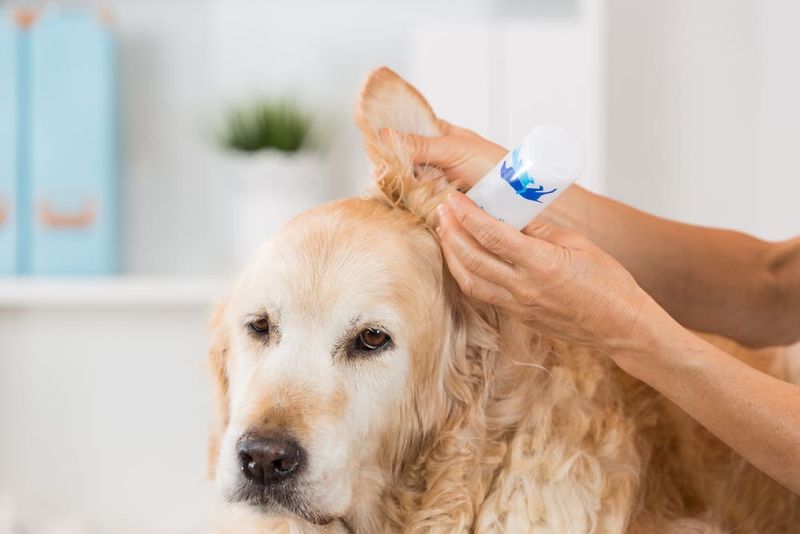 Ear Cleaning is Optional