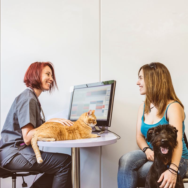 Educating Others About Fostering