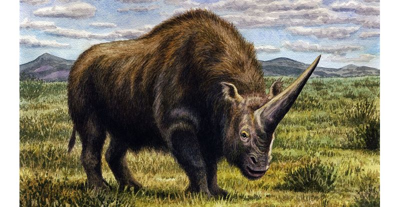 Elasmotherium