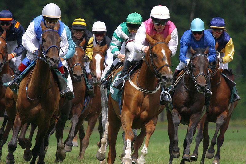 Elite Jockey Partnerships