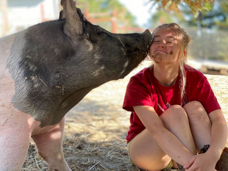 Emotional Bonds with Humans