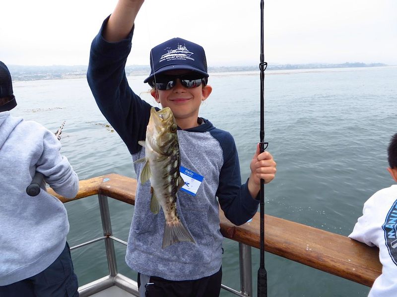 Encourage Participation in Junior Programs