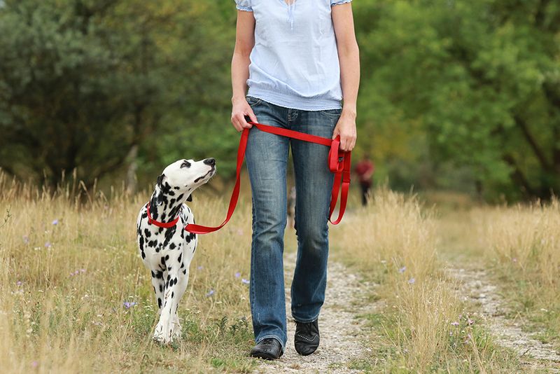 Encouraging Walks