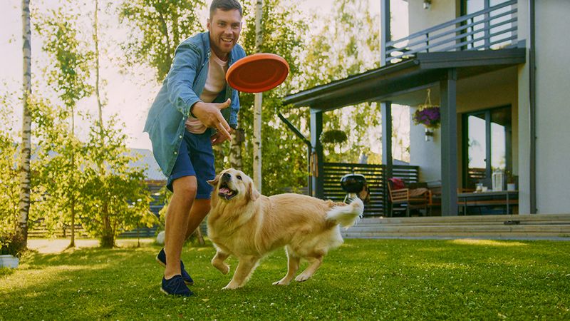 Engage in Play and Bonding