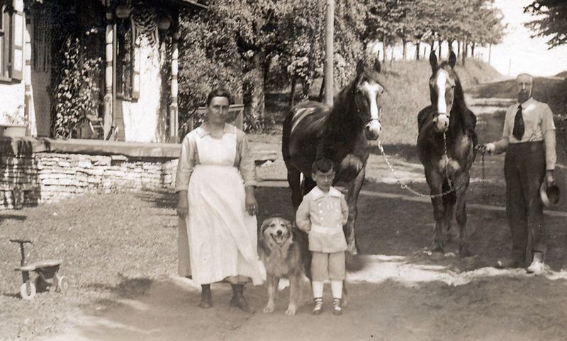 English Shepherd