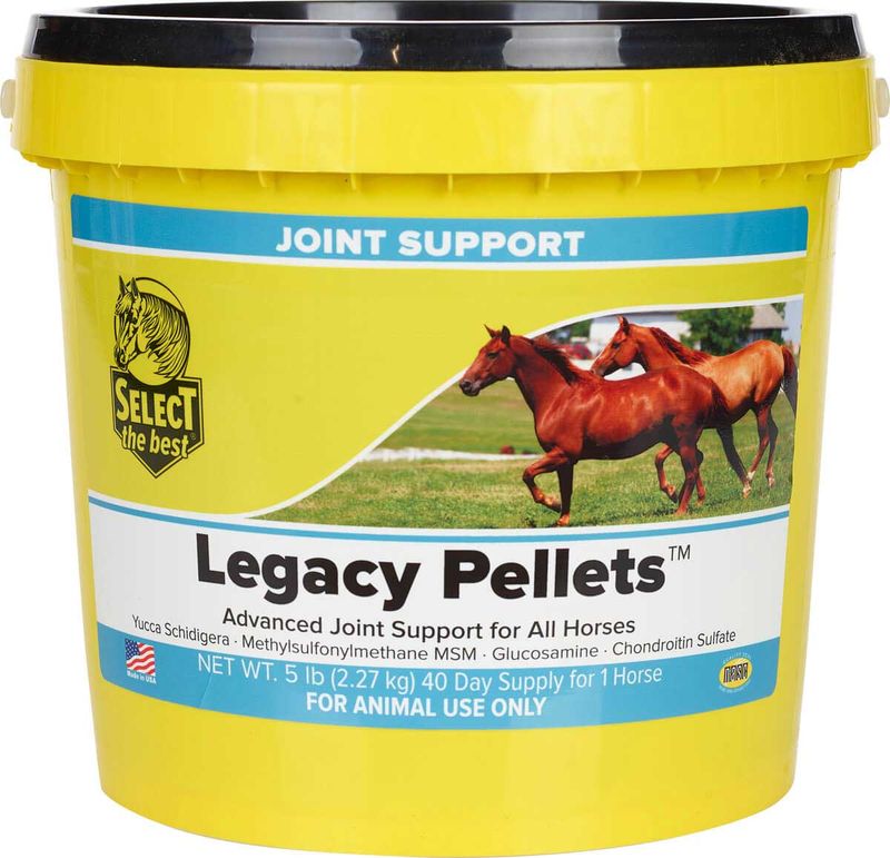 Equine Supplements