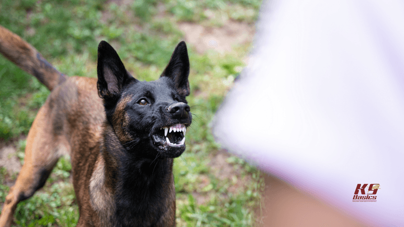 Escalating Vocalization
