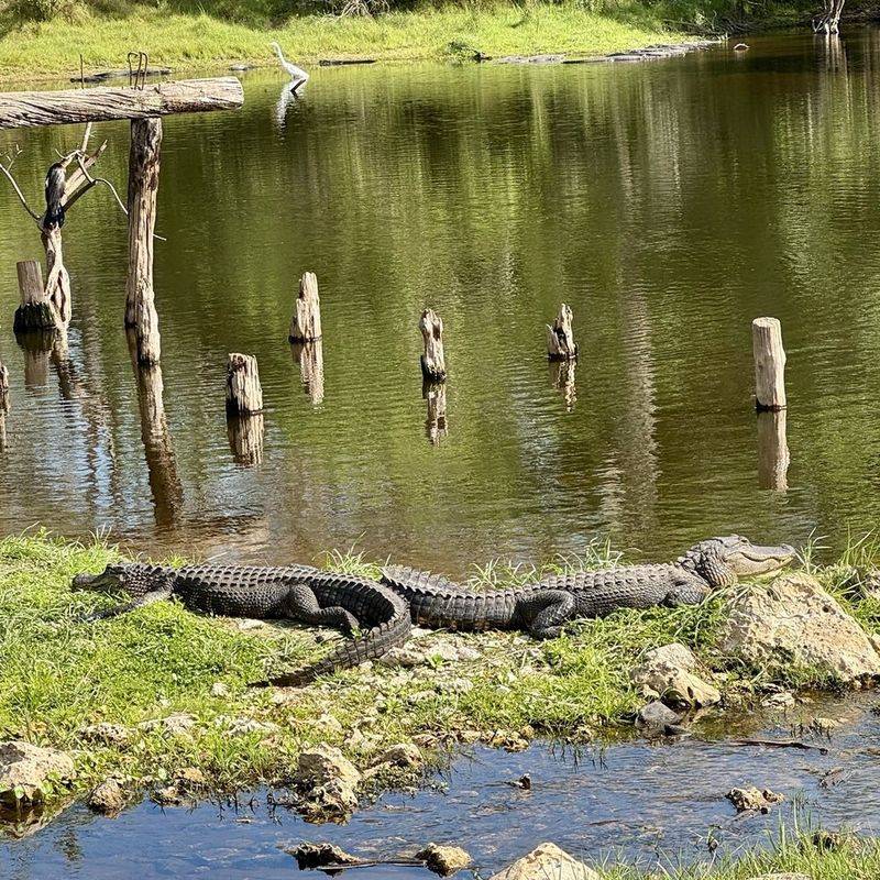 Estero Bay, Florida