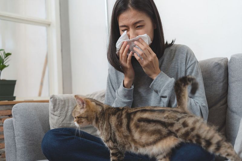 Evaluate Family Allergies