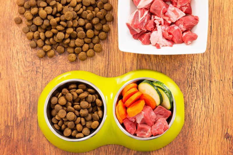 Evaluate the Protein Source