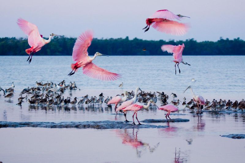 Everglades National Park, Florida
