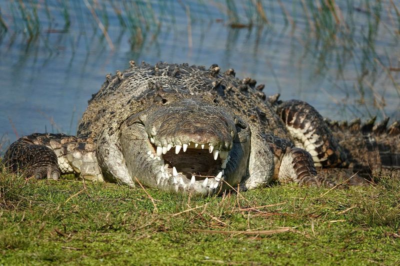 Everglades National Park