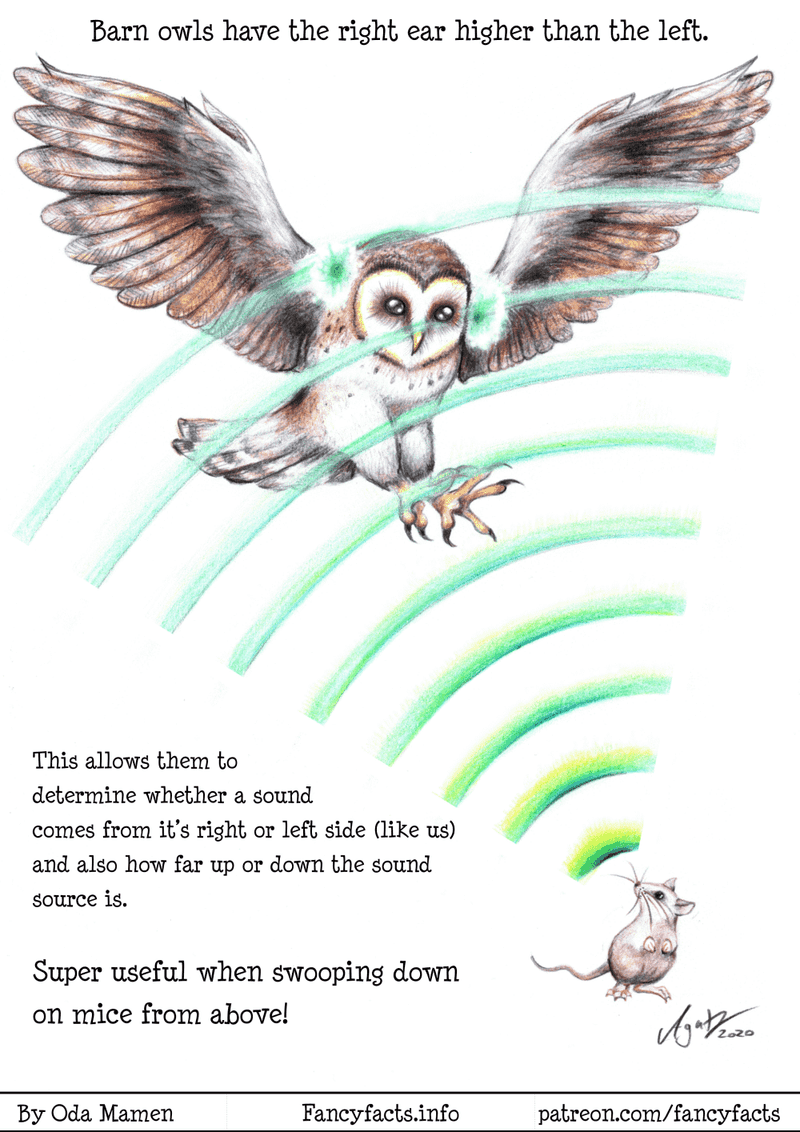 Exceptional Hearing