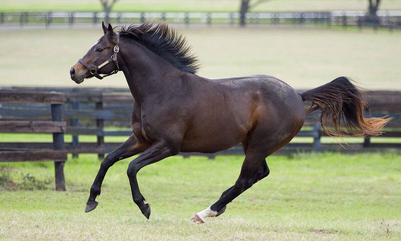 Exceptional Speed