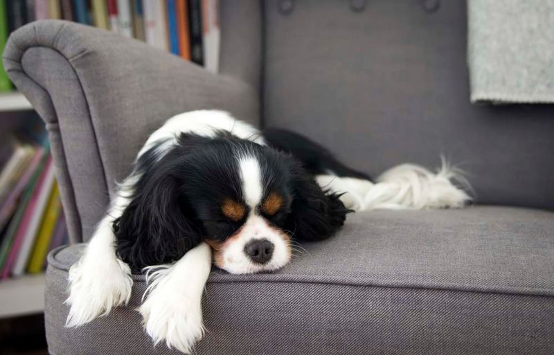Excessive Sleeping