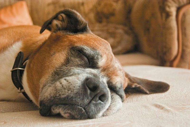 Excessive Sleeping