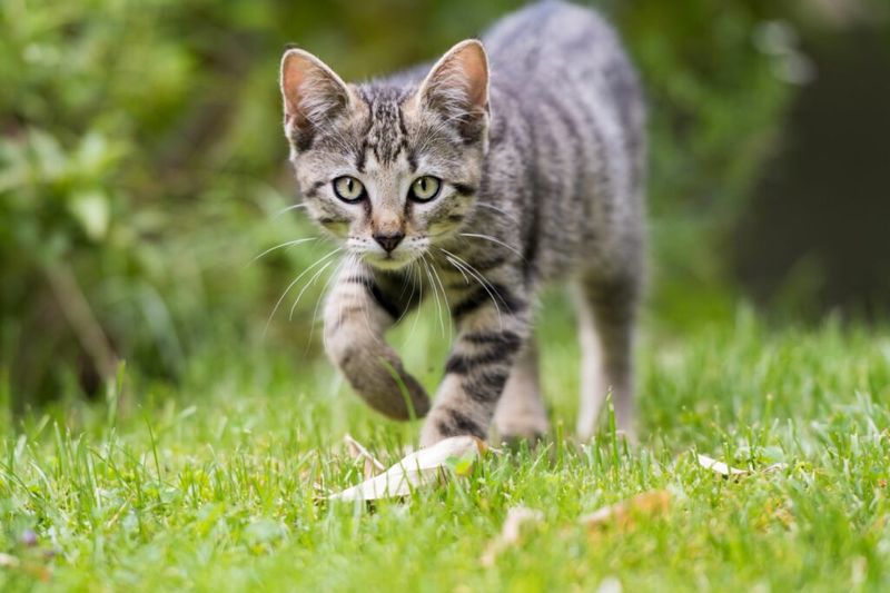 Exploring the Outdoors