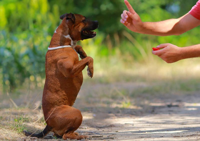 Fail: Negative Reinforcement