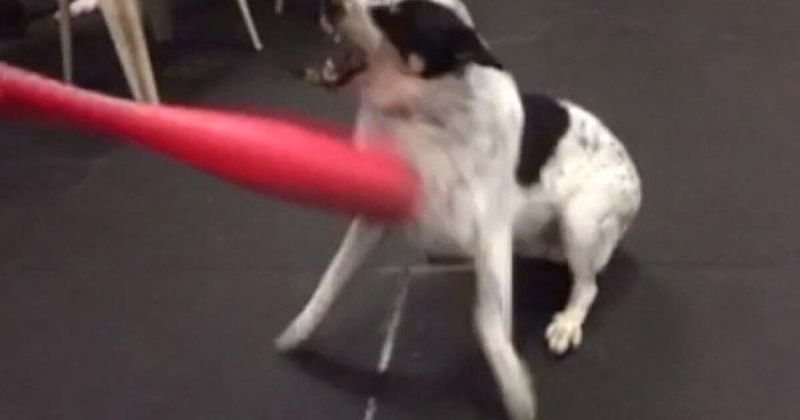 Fail: Physical Punishment