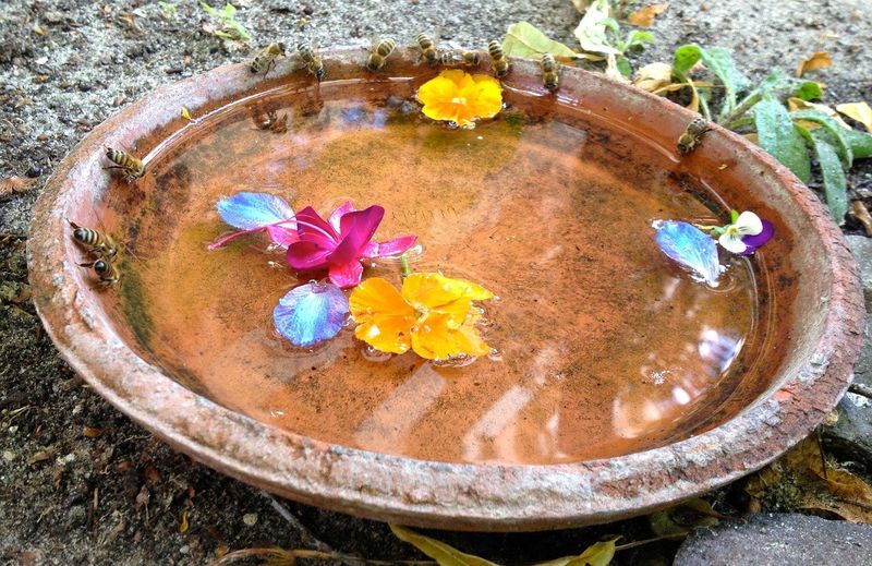 Failing to Provide Adequate Water