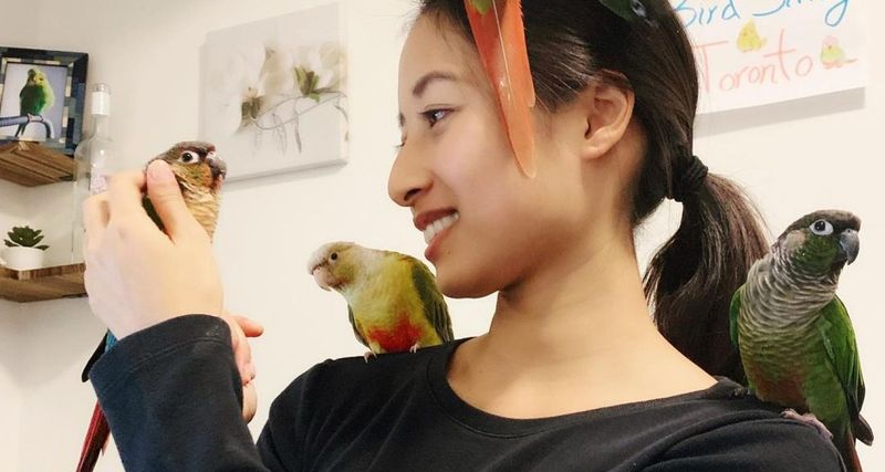 Failing to Socialize Young Birds
