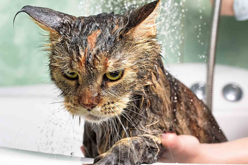 Fear of Water