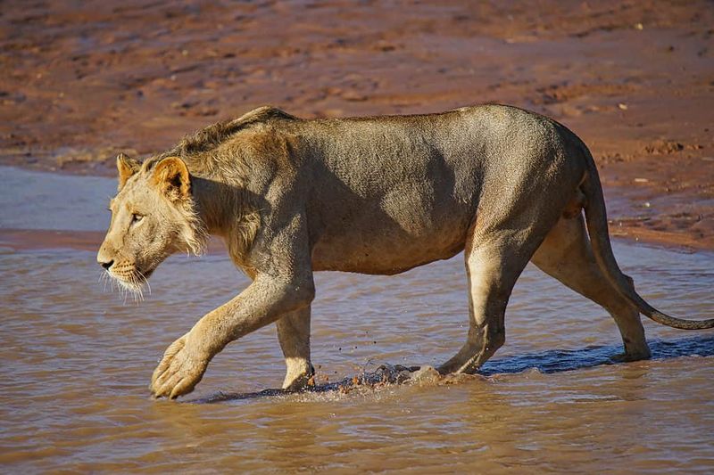 Fearless Hunt