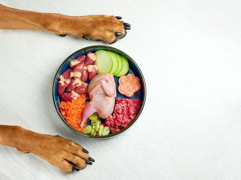 Feed a Balanced Diet