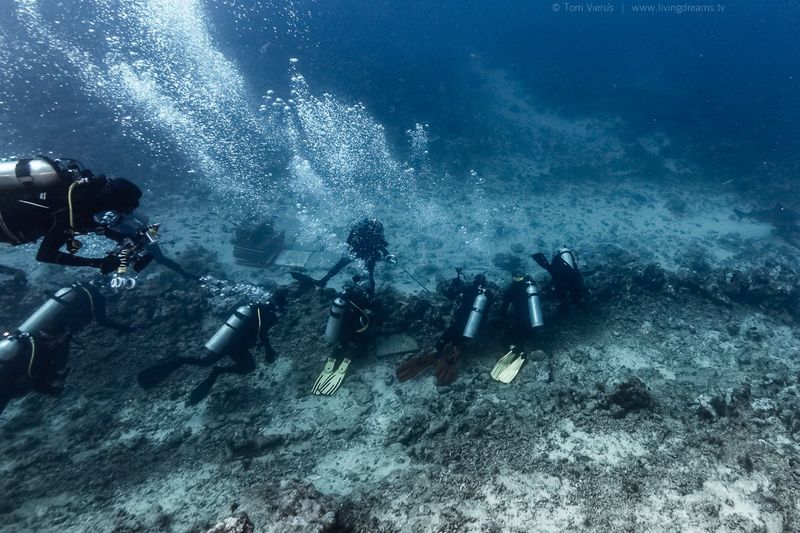 Fiji, Beqa Lagoon