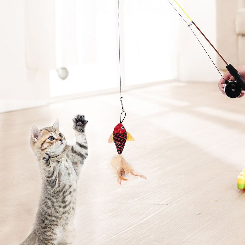Fishing Pole Toy