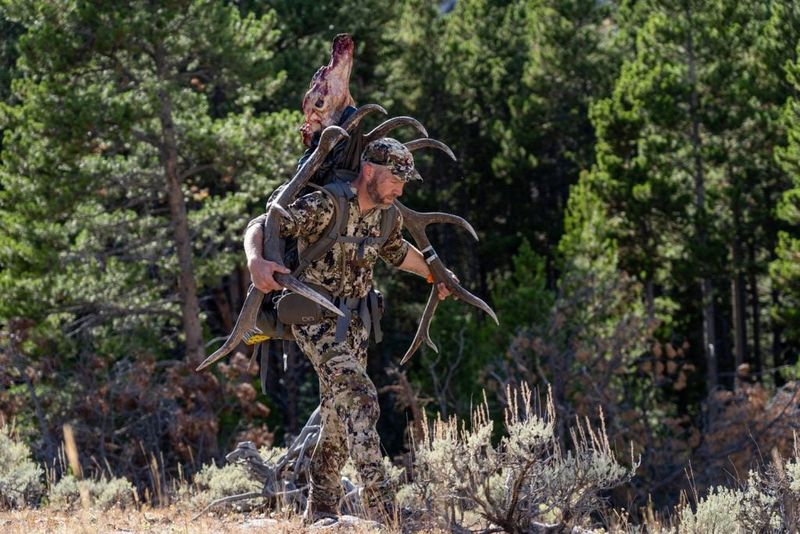 Fitness and Endurance: The Hunter's Edge