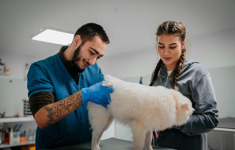 Flea and Tick Prevention