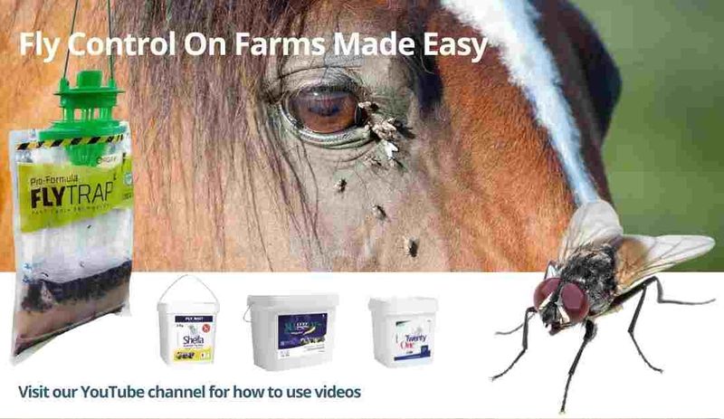 Fly Control Measures