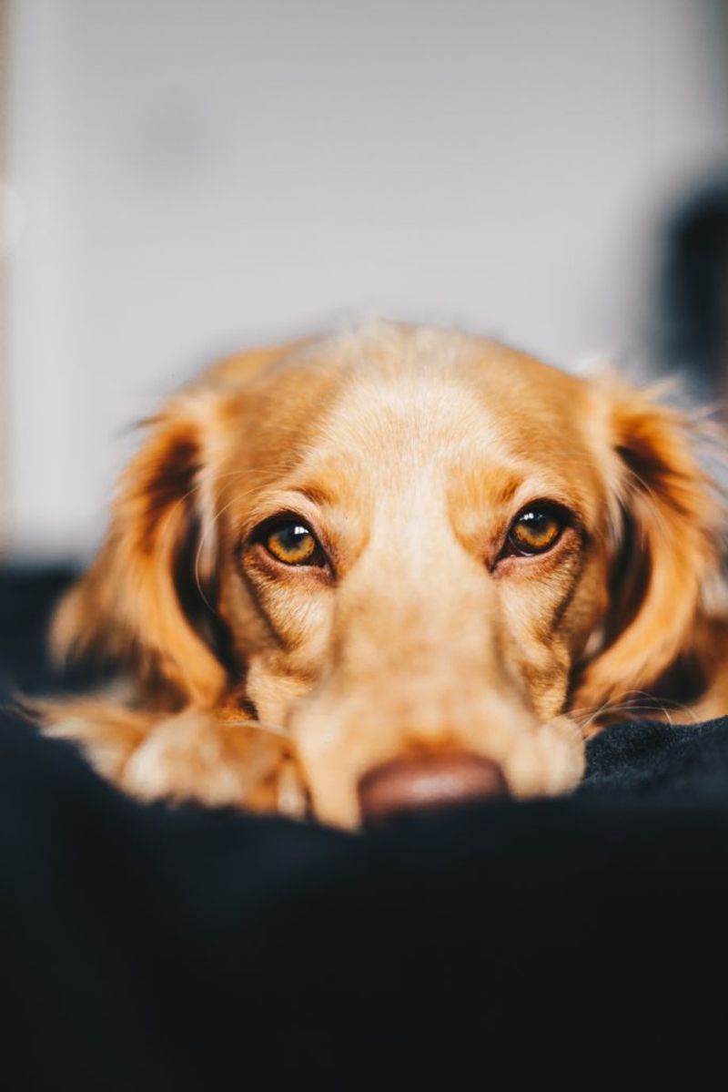 Focus on the Eyes