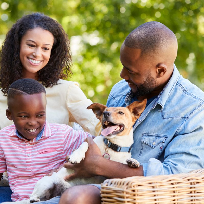 Foster Care