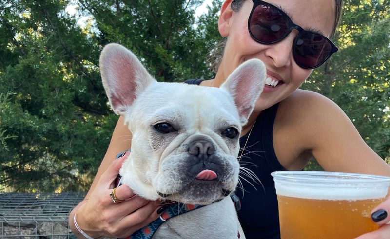 French Bulldog