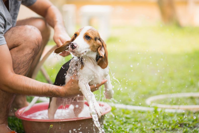 Frequent Baths Are Essential