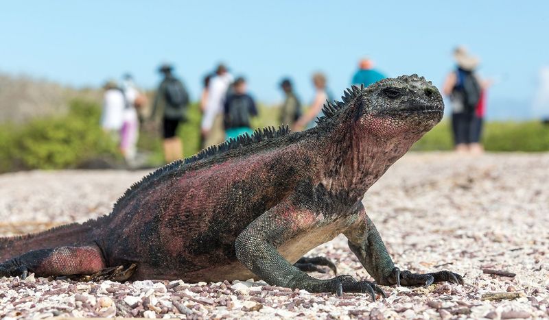 Galápagos Islands Exploration