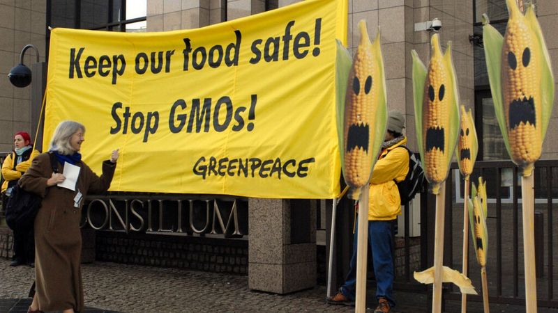 Genetically Modified Organisms (GMOs)