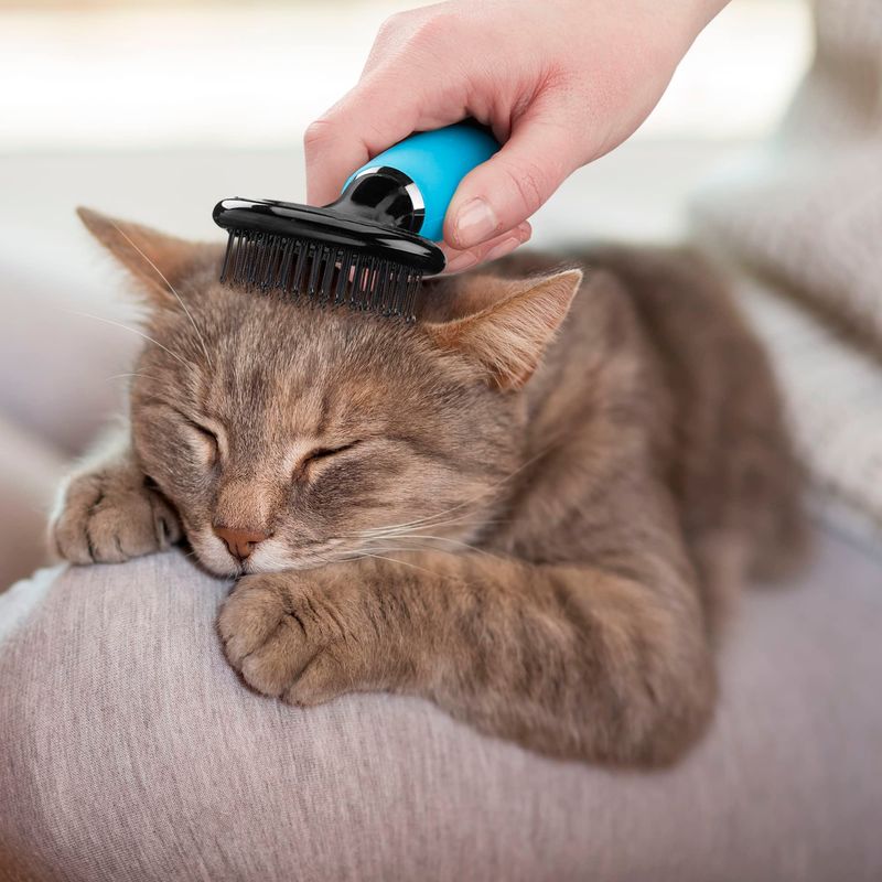 Gentle Brushing