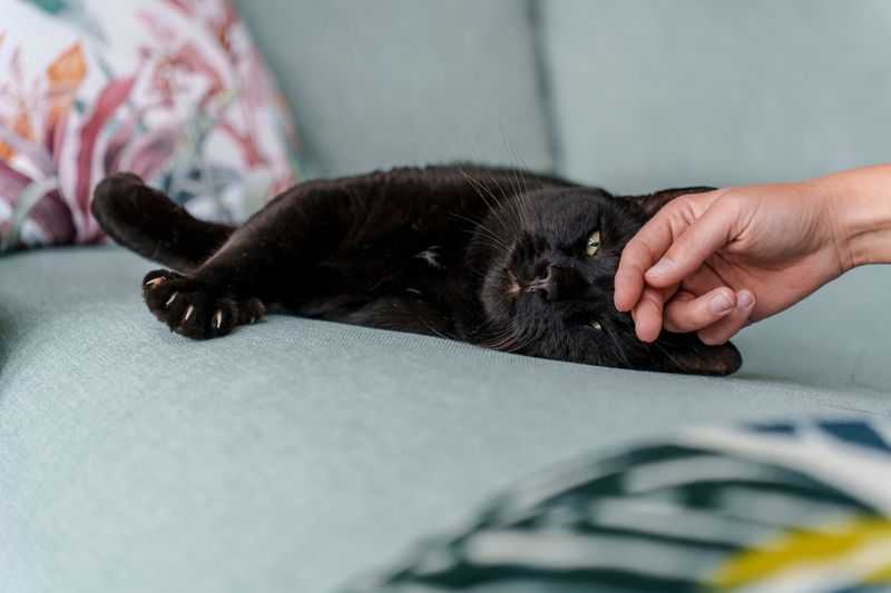 Gentle Encouragement for Interaction