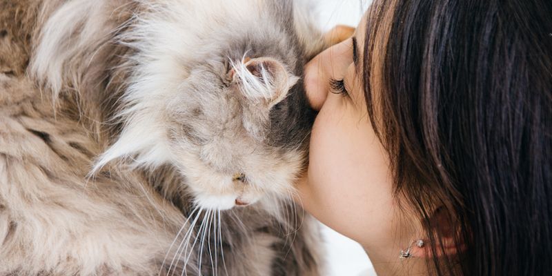 Gentle Head Butts