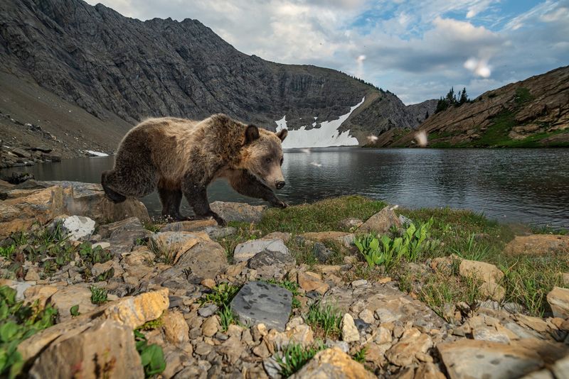 Glacier National Park