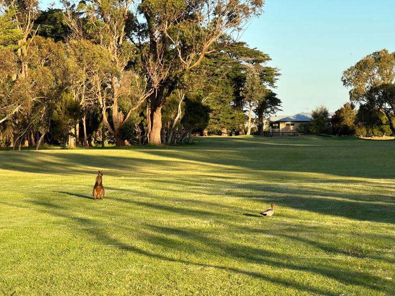 Golf Courses