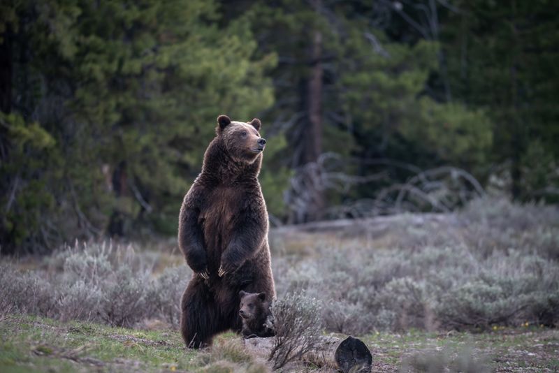 Grand Teton National Park