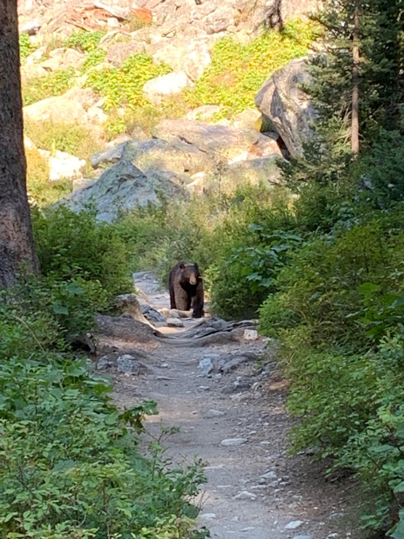 Grand Teton National Park - Cascade Canyon Trail